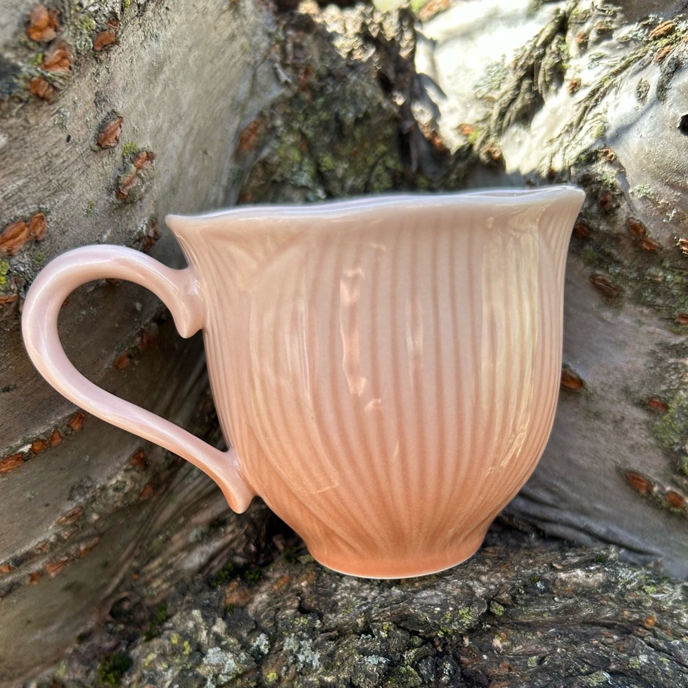 ❤️
 Mikasa Spring Amaryllis Cup, Floral Shape 🌷